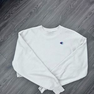 Champion hoodie cropped